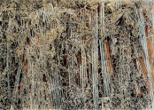 245  Untitled