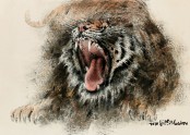 호랑이 Tiger