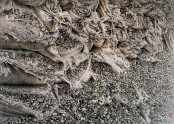 231  해변의 풍경  Scape of Beach
