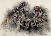 호랑이 Tiger